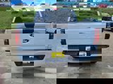 New 2025 Ford F150 STX w/ STX Black Appearance Package image 4