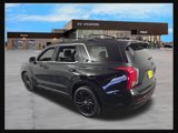 New 2025 Hyundai Palisade Calligraphy image 5