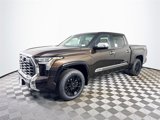 New 2025 Toyota Tundra 1794 Edition image 4