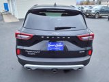 New 2025 Ford Escape Platinum w/ Premium Technology Package image 5