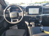 New 2025 Ford F150 Lariat image 3