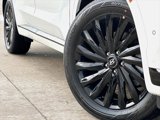 New 2025 Hyundai Palisade Calligraphy image 2