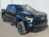 Certified 2023 Chevrolet Silverado 1500 LT Trail Boss w/ Convenience Package II image 3