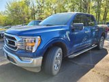 Used 2022 Ford F150 XLT w/ Equipment Group 302A High image 2
