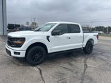 New 2025 Ford F150 XLT image 3
