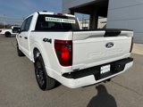 New 2025 Ford F150 STX image 3