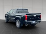 New 2025 Toyota Tacoma Limited image 3