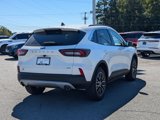 Used 2024 Ford Escape SE image 5