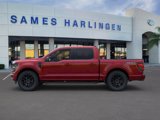 New 2025 Ford F150 XLT w/ Equipment Group 302A MID image 3