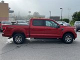 Certified 2023 Ford F150 XLT w/ Equipment Group 302A High image 2