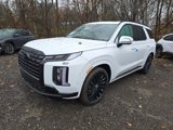 New 2025 Hyundai Palisade Calligraphy image 1