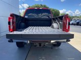 New 2025 Ford F250 4x4 Crew Cab Super Duty image 6