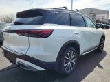 New 2025 INFINITI QX60 Autograph w/ Cargo Package image 3