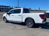 New 2025 Ford F150 XLT w/ Equipment Group 301A Standard image 4