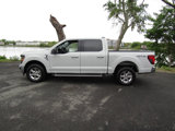 Used 2024 Ford F150 XLT image 4