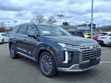 New 2025 Hyundai Palisade Calligraphy image 5