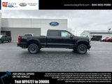 New 2025 Ford F250 Platinum image 3