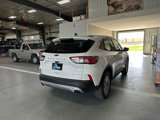 Used 2022 Ford Escape SE image 5