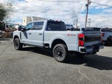 New 2026 Ford F250 Platinum image 4