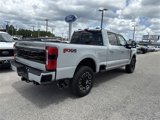 New 2025 Ford F250 Platinum image 4