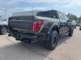 Used 2025 Ford F150 Raptor image 4