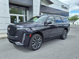 Used 2024 Cadillac Escalade Sport Platinum w/ Heavy-Duty Trailer Package image 2