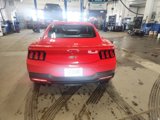 Used 2024 Ford Mustang GT Premium image 6