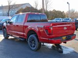 New 2025 Ford F150 XLT w/ Equipment Group 302A MID image 3