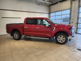 New 2025 Ford F150 XLT w/ Equipment Group 302A MID image 3