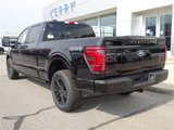 New 2025 Ford F150 Platinum image 4