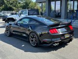 Used 2019 Ford Mustang GT Premium w/ Performance Package - Level 2 image 5