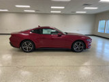 New 2025 Ford Mustang Coupe image 5