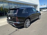 New 2026 Cadillac Vistiq Luxury image 6