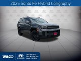 New 2025 Hyundai Santa Fe Calligraphy image 1