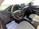 Used 2022 Ford Escape SE image 5