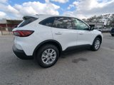 New 2025 Ford Escape Active w/ Tech Pack #1 image 4