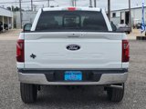 New 2025 Ford F150 XLT w/ Equipment Group 302A MID image 4