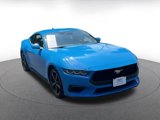 Used 2024 Ford Mustang Premium image 3