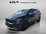 New 2025 Kia Carnival SX Prestige image 3