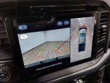 New 2025 Ford F150 XLT image 5
