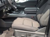 New 2025 Ford F150 XLT image 5