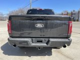 New 2025 Ford F150 XLT image 5