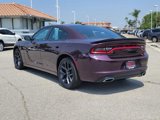 Certified 2022 Dodge Charger SXT w/ Blacktop Package image 6