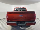 Used 2023 Ford F150 XLT w/ Equipment Group 302A High image 6