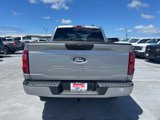 New 2025 Ford F150 STX w/ Equipment Group 200A image 5