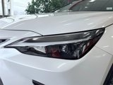 Used 2024 Lexus NX 250 AWD w/ Cold Area Package image 5