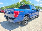 Used 2023 Ford F150 XLT w/ Equipment Group 302A High image 5