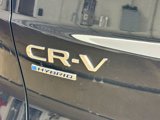 New 2026 Honda CR-V Sport-L image 3
