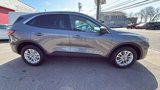 Used 2022 Ford Escape SE image 4