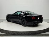 New 2025 Ford Mustang GT Premium w/ Mustang Nite Pony Package image 6